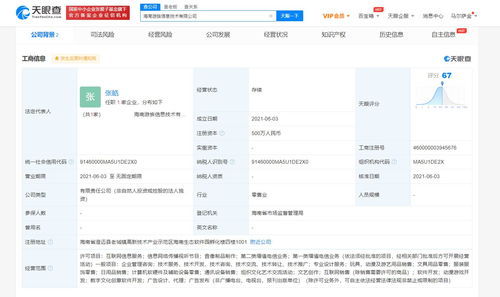 游族网络海南布局，成立新公司加码数字文化创意软件开发